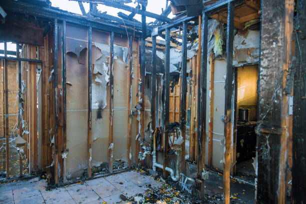 Professional Emergency Fire Damage Restoration technician working in Hamburg, MN